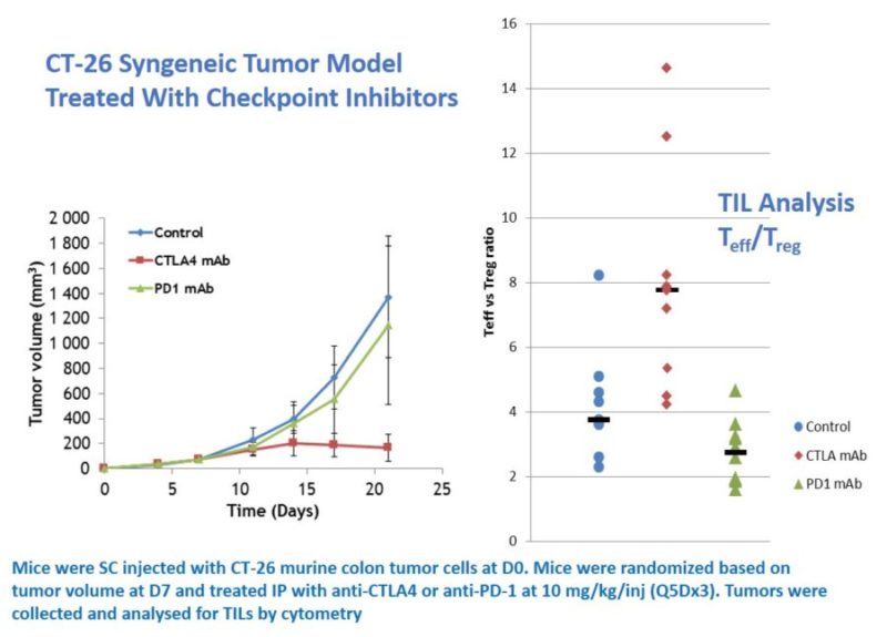 Immuno-oncology - CT26 syngeneic response to checkpoint inhibitors