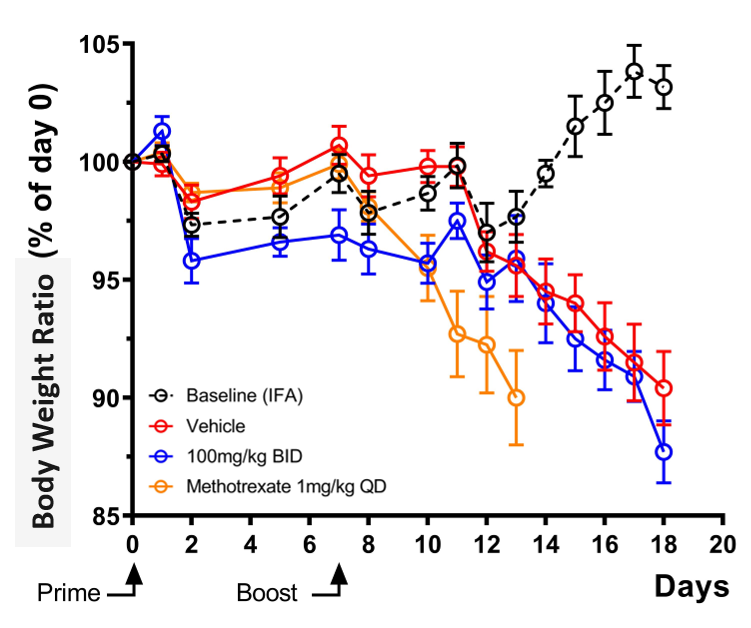 Body Weight Ratio collagen induced arthritis