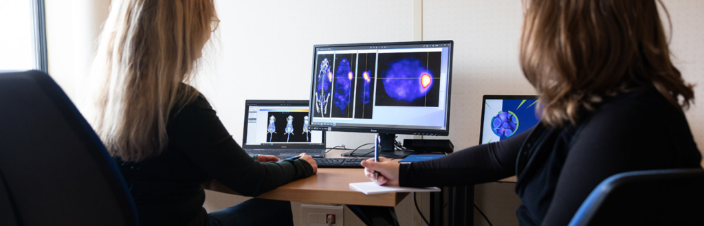 Pharmaco-imaging and molecular radiotherapy services