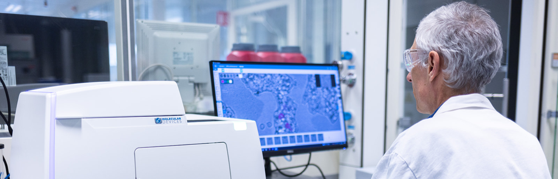 Preclinical research team working with inflammation models for drug discovery