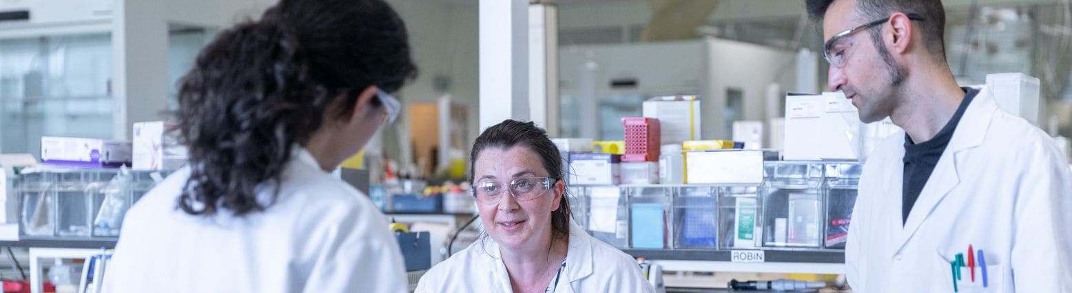 Systemic inflammation models | Oncodesign Services