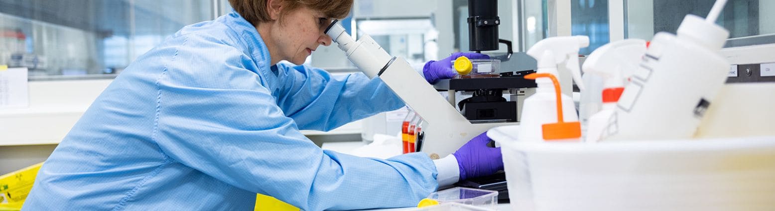 In vitro assays - Oncodesign Services