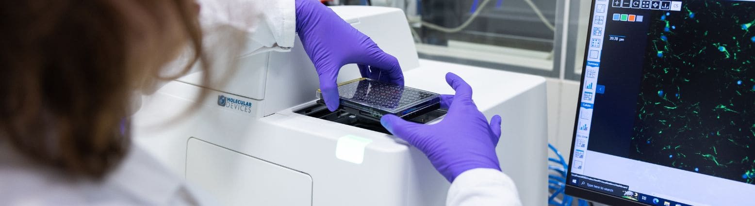 Tumor models | Oncodesign Services