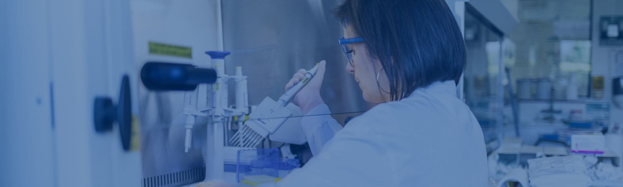 In vitro - Oncodesign Services