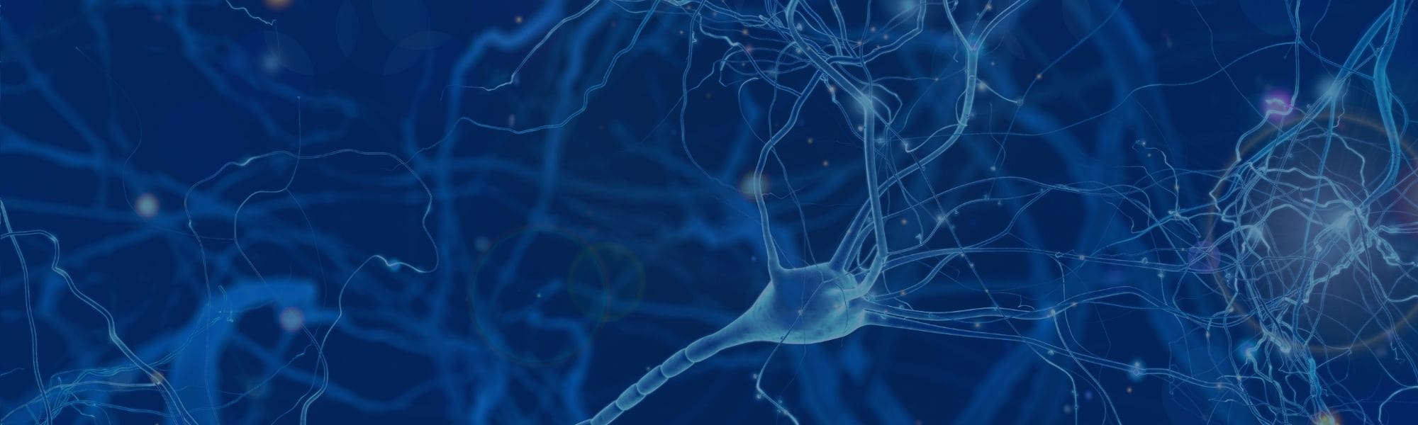 Preclinical Services - Oncodesign Services