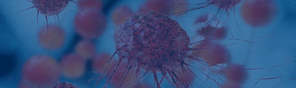 PDX mouse models for drug efficacy evaluation in cancer research