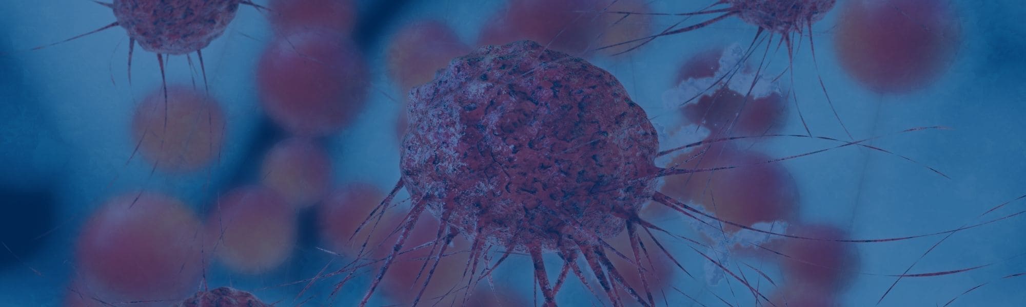 PDX mouse models for drug efficacy evaluation in cancer research