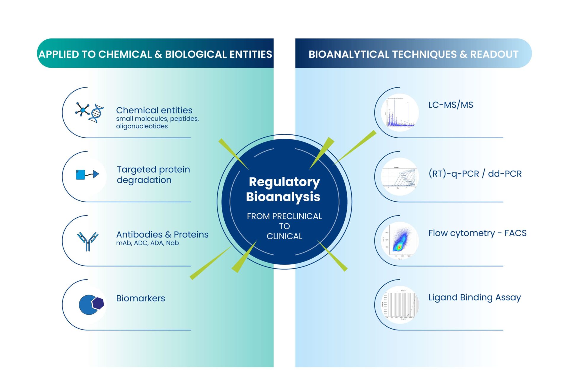 Regulatory bioanalysis for preclinical development