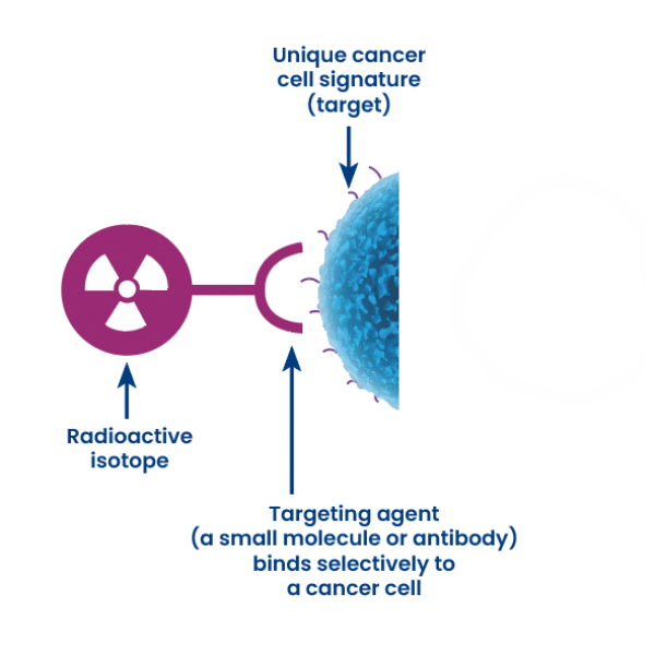 Schema alpha radiotherapy - radioactive isotope targets cancer cell