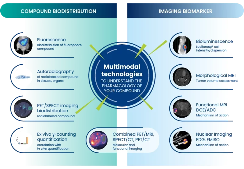 Preclinical Imaging Services | Multimodal technologies to understand the pharmacology