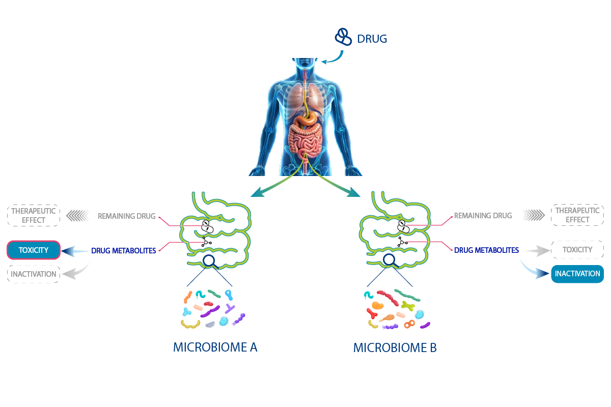 As many treatment responses as different microbiota