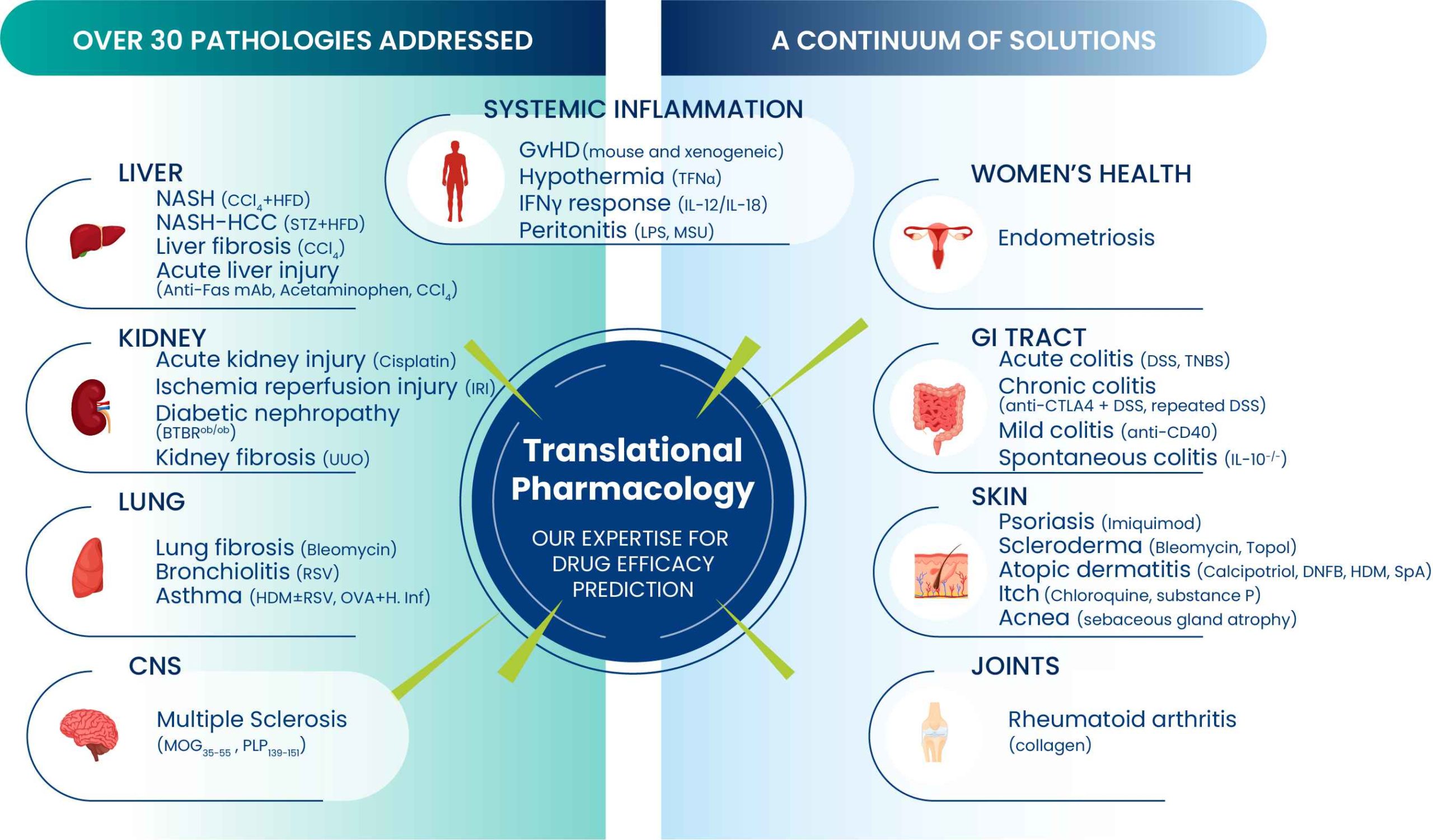 Overview of inflammatory diseases addressed by Oncodesign Services using validated inflammation models, including autoimmune, gastrointestinal, women's health and skin disorders
