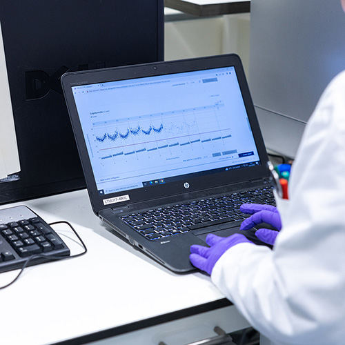 A scientist performing digital PCR services, monitoring the experimental readout on a laptop.