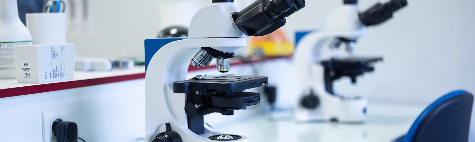 Endometriosis mouse models for de novo development of therapies