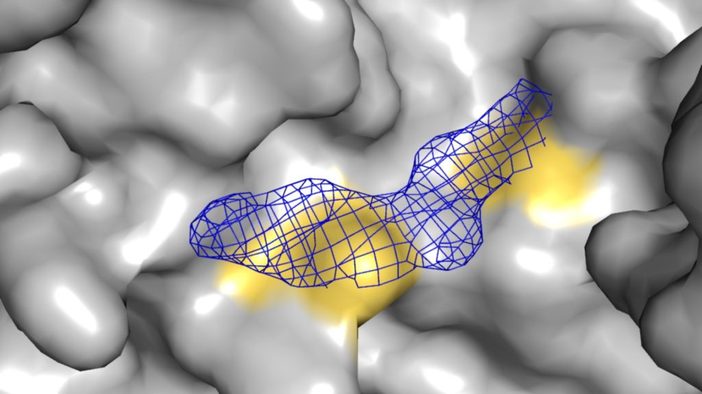 A crystal structure of a covalent compound binding to nucleophilic residues