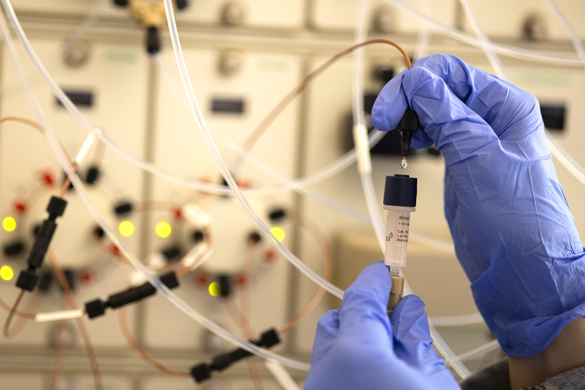 An affinity column being connected to a chromatography system. Affinity columns are commonly used in protein sciences as an initial purification step of a target protein harbouring specific cleavable tags to facilitate the purification process.
